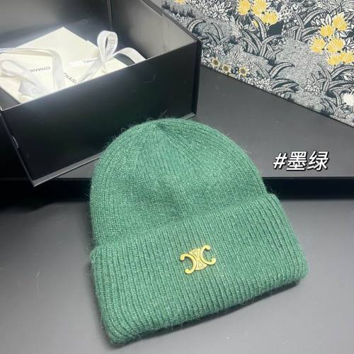 Celine Hats AAA-1603