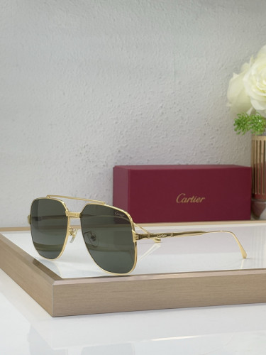 Cartier Sunglasses AAAA-9728