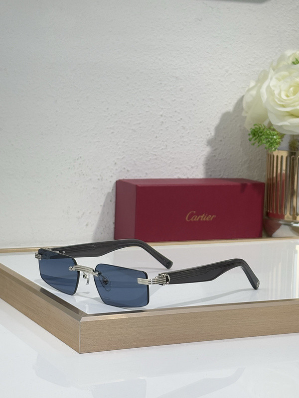 Cartier Sunglasses AAAA-9829