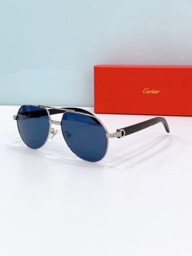 Cartier Sunglasses AAAA-8764