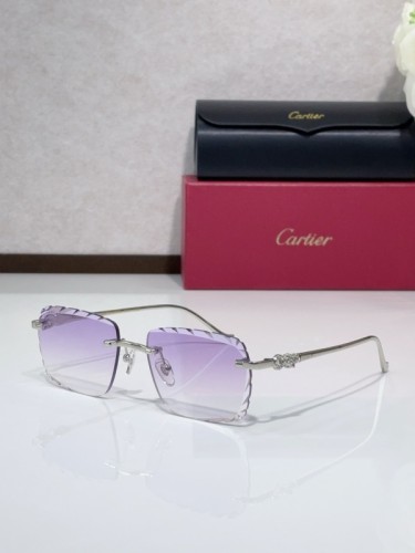 Cartier Sunglasses AAAA-10731