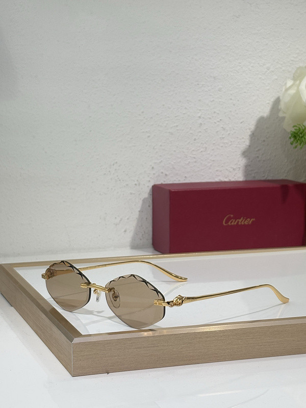 Cartier Sunglasses AAAA-10892