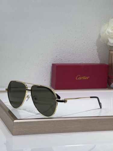 Cartier Sunglasses AAAA-10480