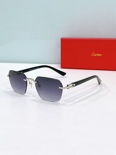 Cartier Sunglasses AAAA-13433