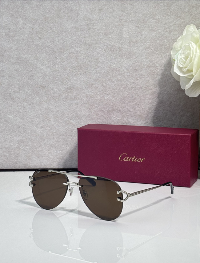Cartier Sunglasses AAAA-13646