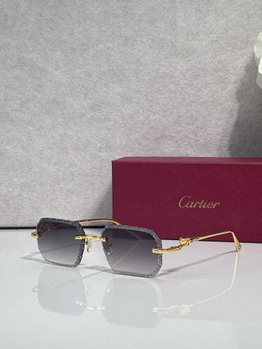 Cartier Sunglasses AAAA-14428
