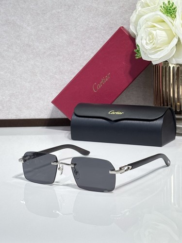 Cartier Sunglasses AAAA-13840