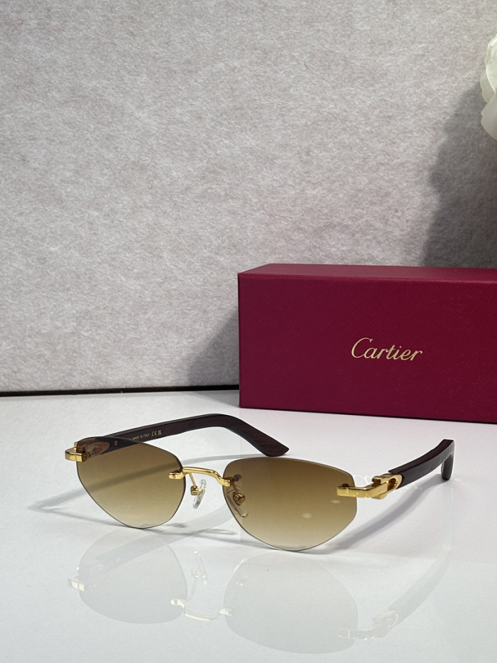 Cartier Sunglasses AAAA-13924