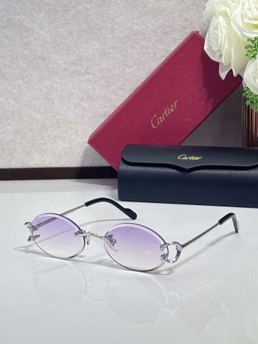 Cartier Sunglasses AAAA-13255