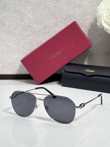 Cartier Sunglasses AAAA-14303