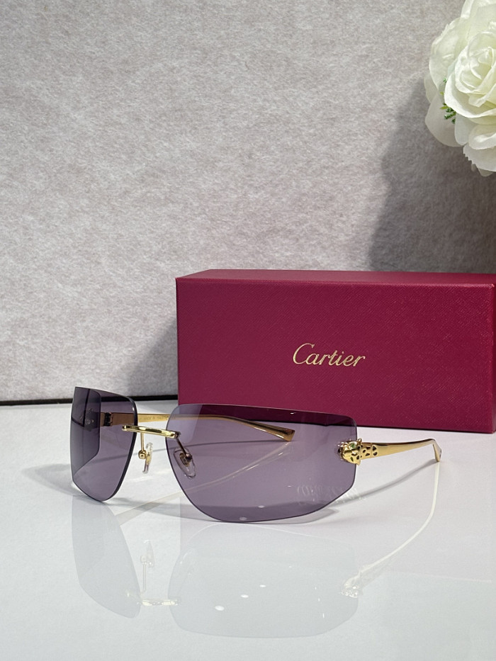 Cartier Sunglasses AAAA-13784