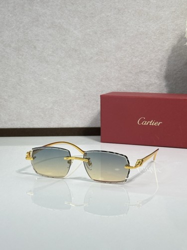 Cartier Sunglasses AAAA-14264