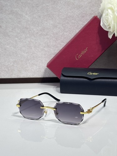 Cartier Sunglasses AAAA-13069