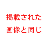 aotumedoll#36＆#37 F-cup H-cup アニメ巨乳食用 系 少女姉妹ラブドール 155cm TPE製
