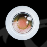 mozudoll 120cm e-cup シリコンヘッド+TPE身体 宣材写真と同じ衣装無料プレゼン エロ体な超絶清楚系美女ラブドール