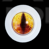 mozudoll 163cm H-cup TPE製 宣材写真と同じ衣装無料プレゼン アニメ『チェンソーマン』マキマコスプレラブドール