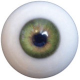 doll4ever#21 135cm F-cup TPE製 素人彼女リアルラブドール