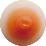 SilikoDoll#J7 160cm Lカップ シリコン製 陶器のような美しい肌アメリカ美女セックスドール