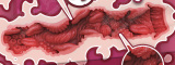 ElsaBabe-RAD002 Chiaki 148cm シリコン アニメ 美 少女ラブドール コスプレ 着 エロダッチワイフ 巨乳 ポロリセックス人形