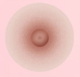 ButterflyDoll#BP100-1 100cm F-cup TPE 頭身一体 えろセックスドール