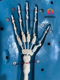 SHE DOLL 顾小雨2.0 168cm Eカップ ボディ材質選択可 リアルな肌質感付き 美人姉 セックスドール そばかす ナース制服 ラブドール