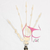 Funwest Clara FWD106 #050ヘッド 159cm Aカップ TPE材質 ノーマル肌 ダッチドール ちっぱい ラブドール