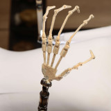 Bezlya Doll 鋼本娘子 2.2Uシリーズ 167cm Gカップ フルシリコン製 優雅 黒髪 セクシー リアルドール