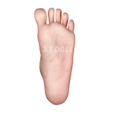 Bezlya 茉莉 2.1シリーズ 149cm C-cup シリコン製 金髪ツインテール リアルラブドール ロリギャル 等身大人形 本物 美少女 セクシーダッチワイフ