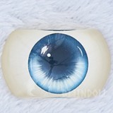 BCDOLL 桃乐丝(Dorothy) #O04 155cm Jカップ フルシリコン アニメ 爆乳 コスプレ ダッチワイフ