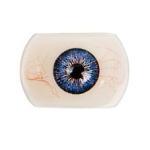 FUDOLL#23 136cm Aカップ フルシリコン製 貧乳ロリ系 ラブドール 美少女 SEX エロ ダッチワイフ