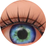 My Loli Waifu Miyu (みゆ) 半身 #104Bヘッド T1ボディ フルシリコン製 小腿無し ロリ系 トルソー ダッチワイフ