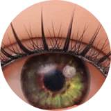 My Loli Waifu Miyu (みゆ) 半身 #104Bヘッド T1ボディ フルシリコン製 小腿無し ロリ系 トルソー ダッチワイフ