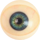 Jiusheng Doll Elise #93B 168cm Cカップ フルシリコン 顎機能付き 欧米系 セクシー ダッチワイフ