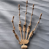 MOZUDOLL ボディ 購入 受付専用ページ