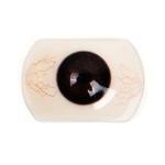 FUDOLL 小燕 145cm Aカップ フルシリコン 顎機能付き 可愛い 美少女 ラブドール