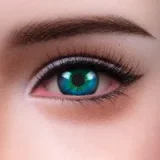 SEDOLL Isla Kane.A #153SO 114cm Fカップ フルシリコン リアルな肌質感 巨乳 軽量化 トルソー 半身 美人 ダッチワイフ