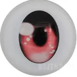 ButterflyDoll #BH120 ヘッド単品 セックス傷痕少女 アニメドール 奴隷人形 淫乱sex生活