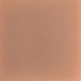 蛍火日記 夜蘭 164cm Gカップ フルシリコン 顎機能追加可 クリスマスガール 巨乳 ラブドール