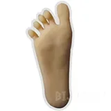 Butterfly Doll Elsa #BH022 145cm Fカップ S-TPE製 魅惑 ビキニ 美人 ラブドール