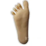 Butterfly Doll Lana BP152-01 152cm Lカップ S-TPE製 シームレス 巨乳 巨尻 欧米系 ラブドール