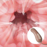 SEDOLL Annika.K #068SO 167cm Fカップ フルシリコン リアルな肌質感付き 欧米系 小麦肌 ラブドール