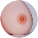 Erovenus Medium Olivia LoveNestleシリーズ LN-T-022 トルソー フルシリコン オナホール 男性用 アダルトグッズ