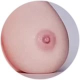 Erovenus Sarah LoveNestleシリーズ LN-T-019 トルソー シリコン製 大型オナホール 男性用 アダルトグッズ