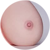 Erovenus Orgasm I LoveNestleシリーズ LN-T-033 トルソー オナホ シリコン製 半身 爆乳