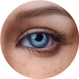 Erovenus Riko Maxシリーズ トルソー 半身 フルシリコン 宣材画像はROS口開閉機能＋模擬口腔仕様 高品質 オナホ ラブドール