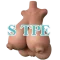 STPE