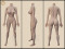 167cm-F リアルな肌質感付き