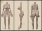 157cm-I リアルな肌質感付き