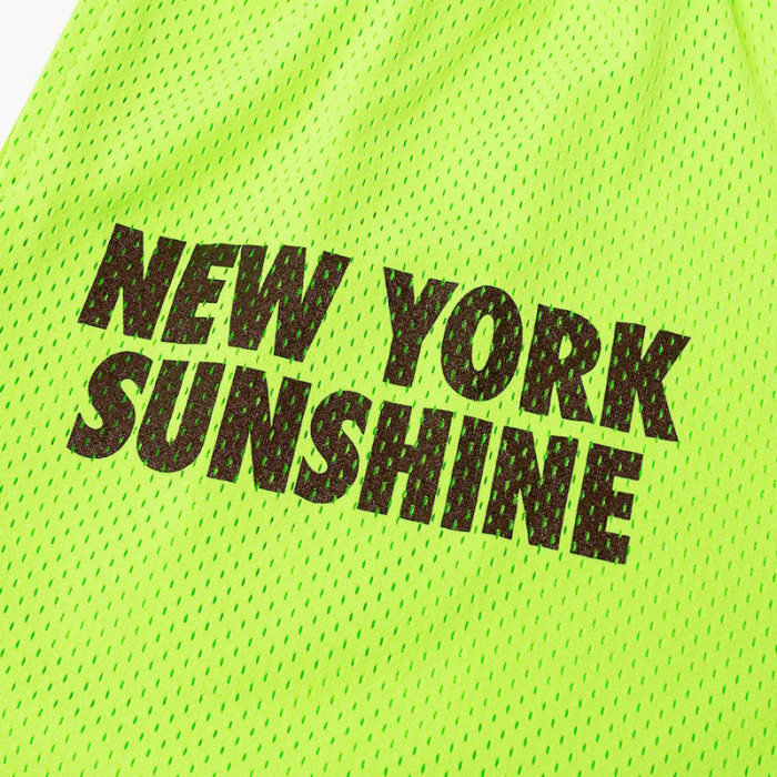 Eric Emanuel EE logo New York sunshine shorts 2 colors