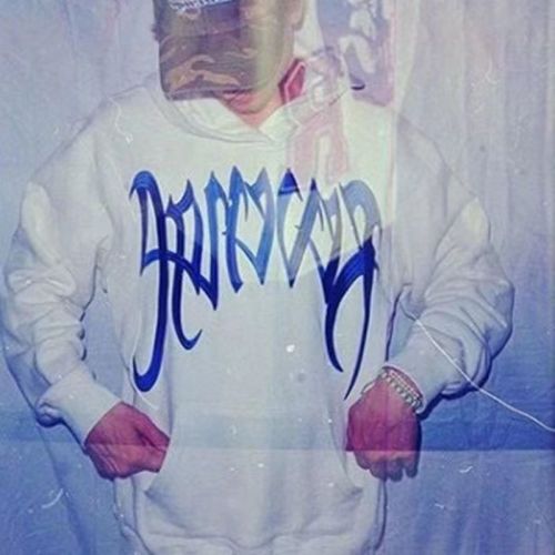 Blue embroidered logo hoodie
